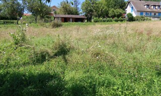 Photo N° 6