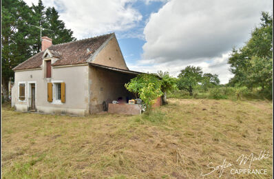 vente maison 57 000 € à proximité de Saint-Jeanvrin (18370)