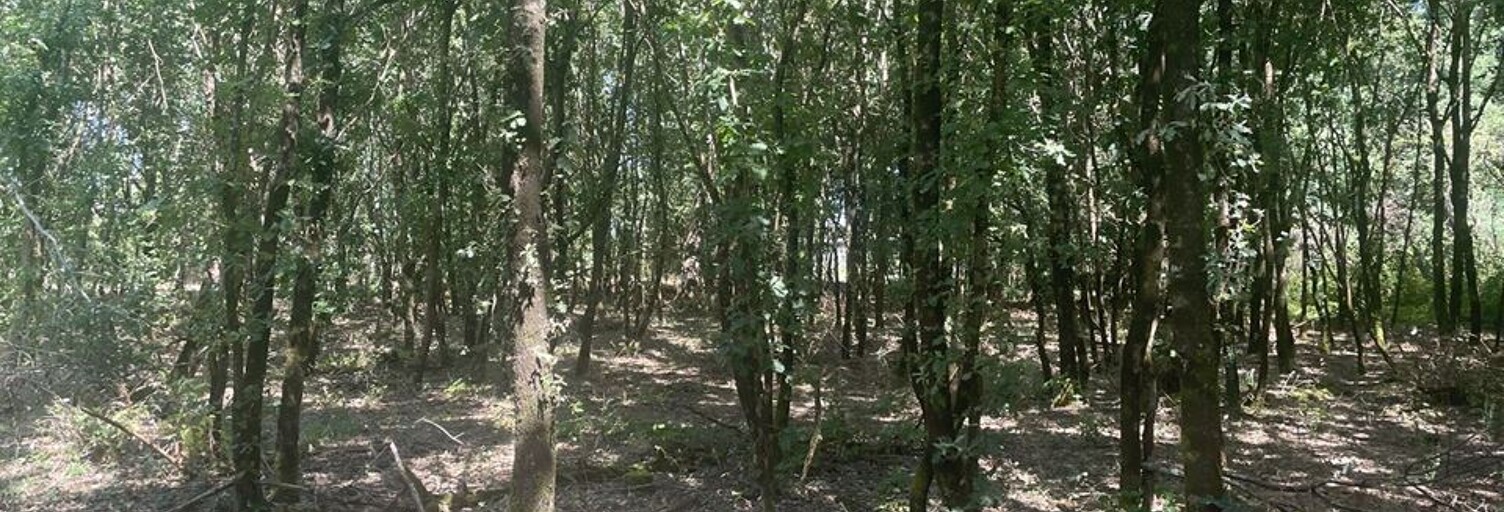 Terrain  3665 m² à vendre à Talais (33590)