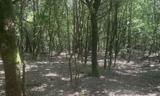 Terrain  3665 m² à vendre à Talais (33590)