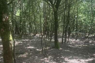 Terrain  127200 €