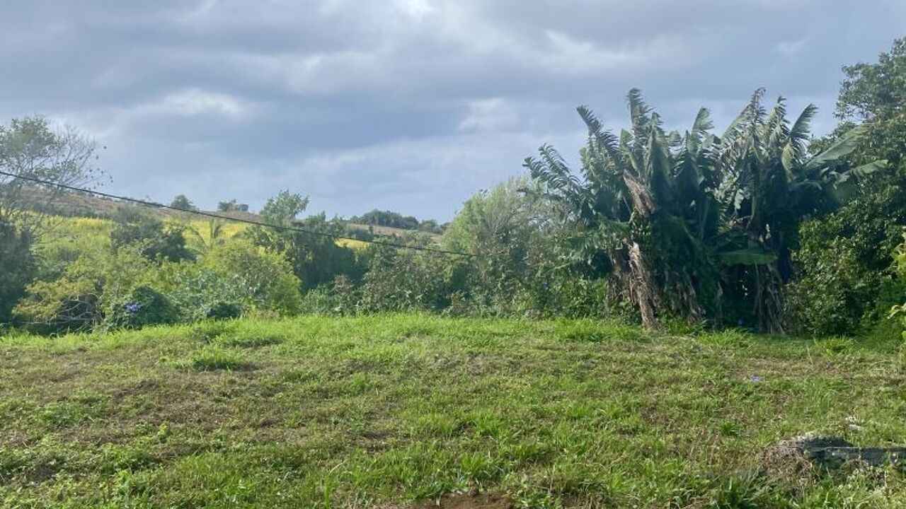 terrain  pièces 500 m2 à vendre à Saint-Pierre (97410)