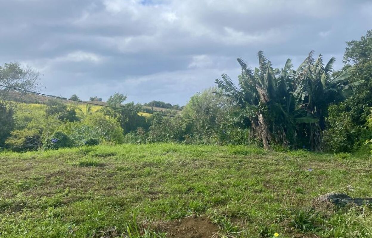 terrain  pièces 500 m2 à vendre à Saint-Pierre (97410)