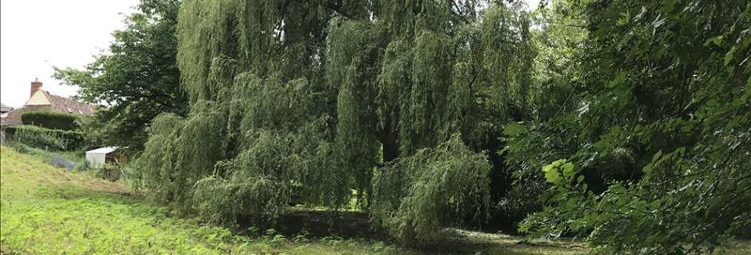 Terrain  3000 m² à vendre à Orbigny (37460)