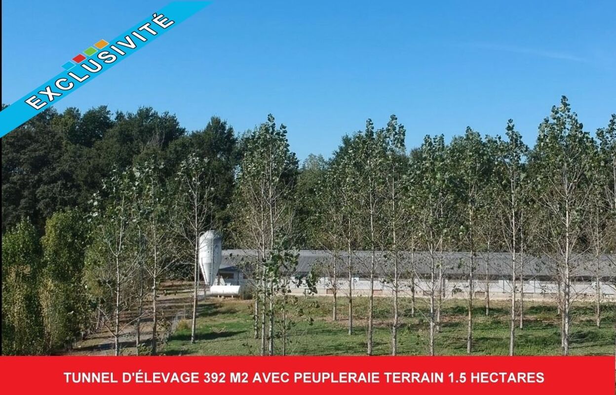 divers 1 pièces 392 m2 à vendre à Sainte-Christie-d'Armagnac (32370)