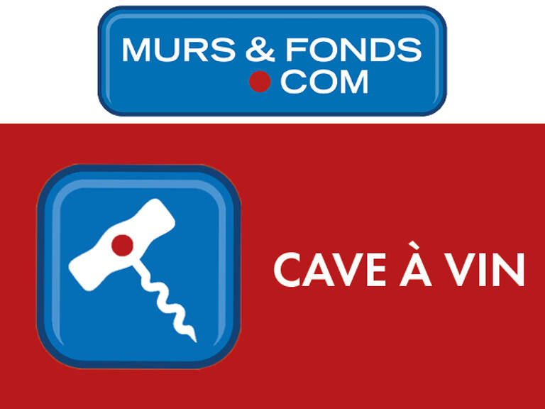 22 - A VENDRE BELLE CAVE A VINS — photo 1