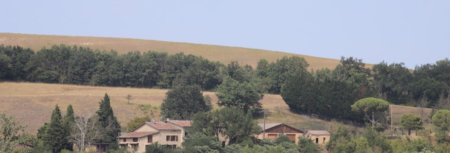 Maison 20 Pièces 658 m² à vendre à Mirepoix (09500)