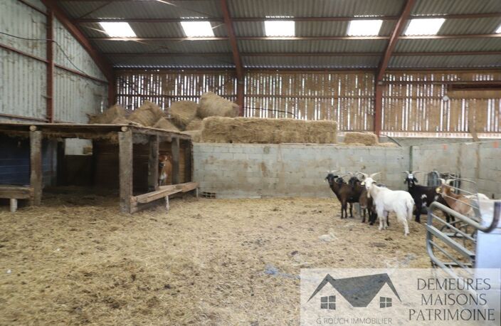 Corps de ferme — photo 5
