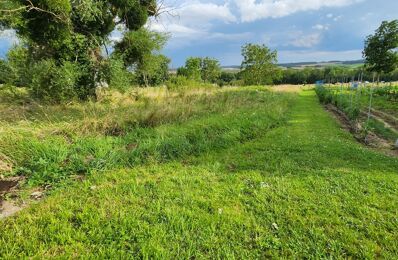 terrain  pièces 1155 m2 à vendre à Flogny-la-Chapelle (89360)