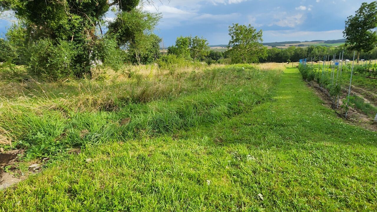 terrain  pièces 1155 m2 à vendre à Flogny-la-Chapelle (89360)