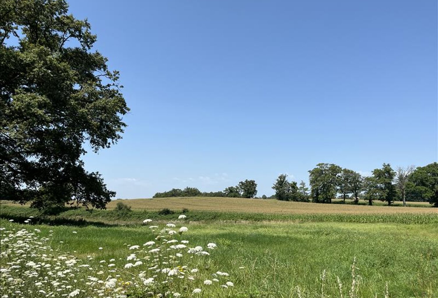 Terrain à bâtir de 0 pièces principales — photo 1