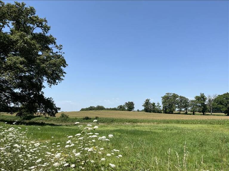Terrain à bâtir de 0 pièces principales — photo 1