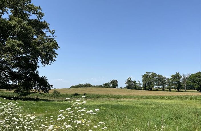 Terrain à bâtir de 0 pièces principales — photo 2
