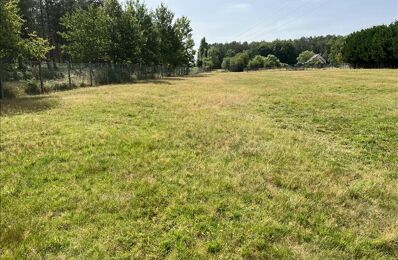 vente terrain 28 750 € à proximité de Mareuil-sur-Cher (41110)