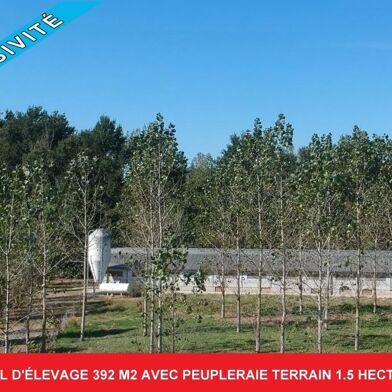 Terrain 15052 m²