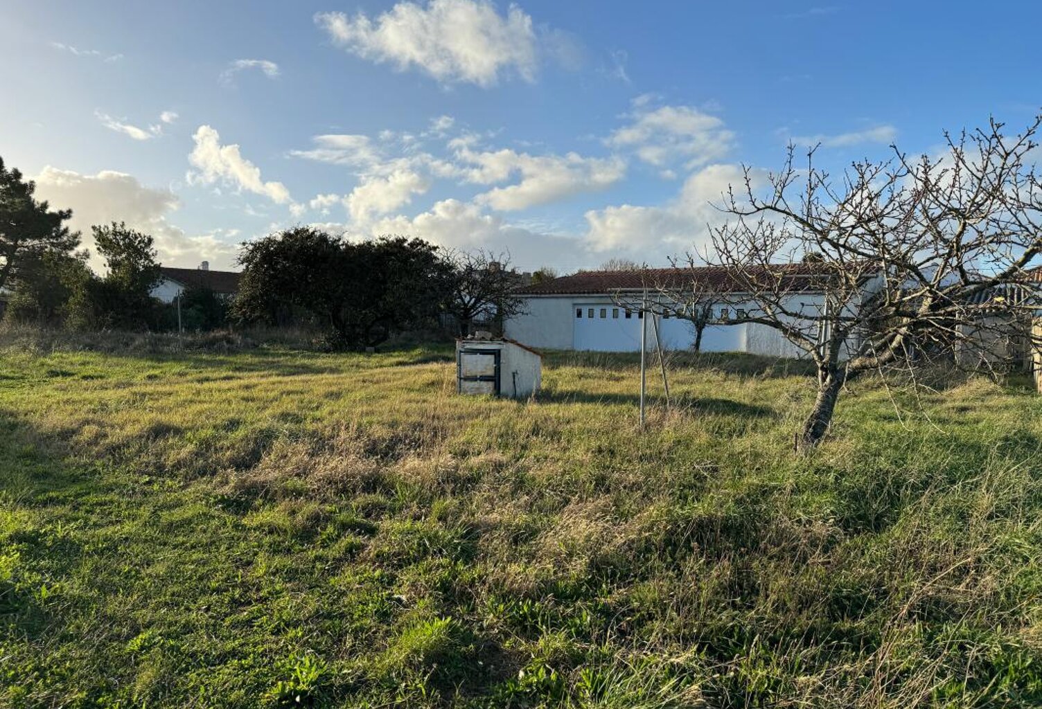 Terrain À Vendre — photo 1