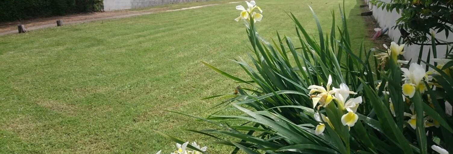 Terrain  405 m² à vendre à Saint-Pierre-d'Oléron (17310)