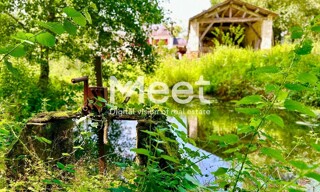 Photo N° 4