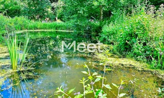 Photo N° 6