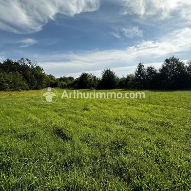 Terrain 1206 m²