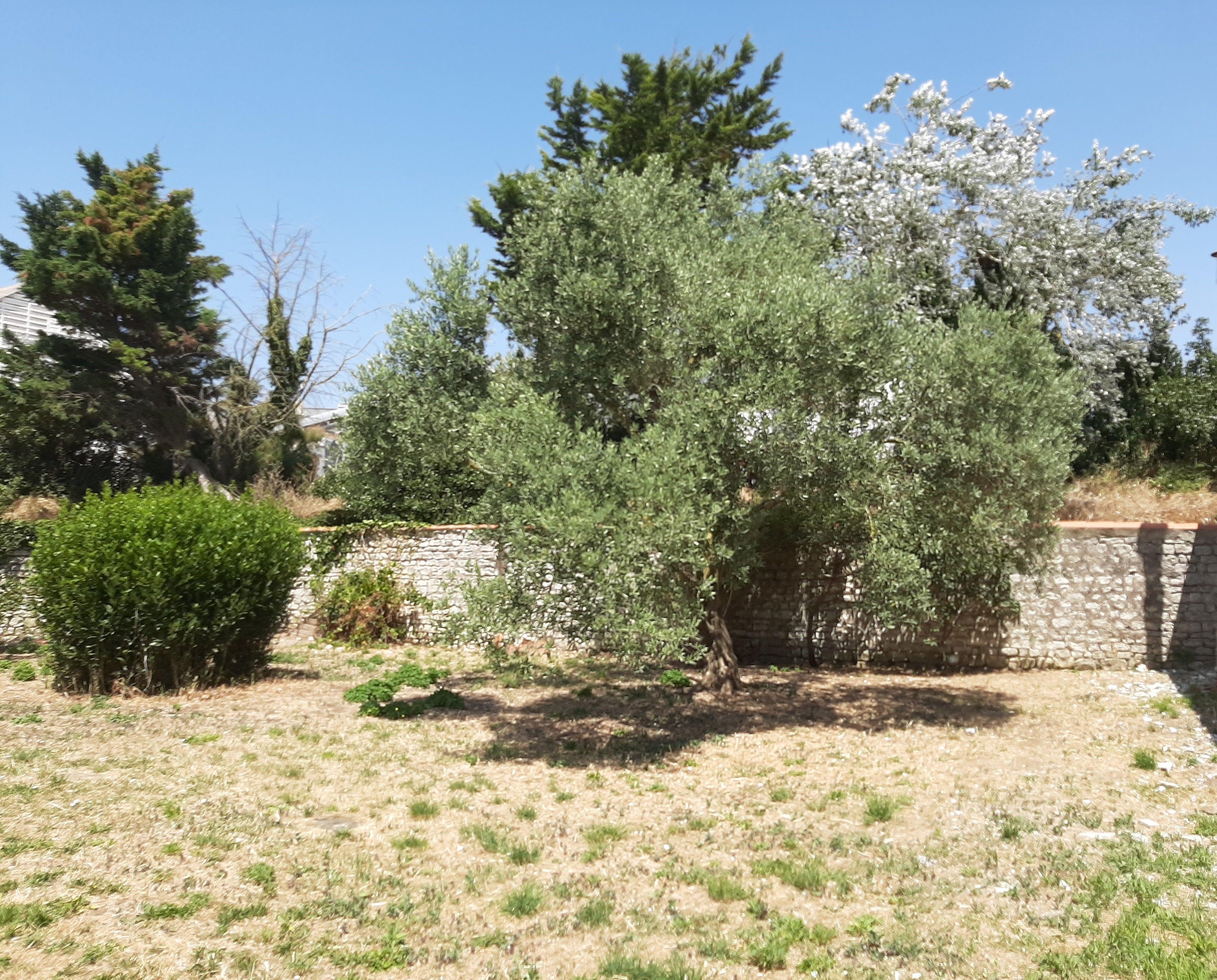 Agence immobilière de 123webimmo.com