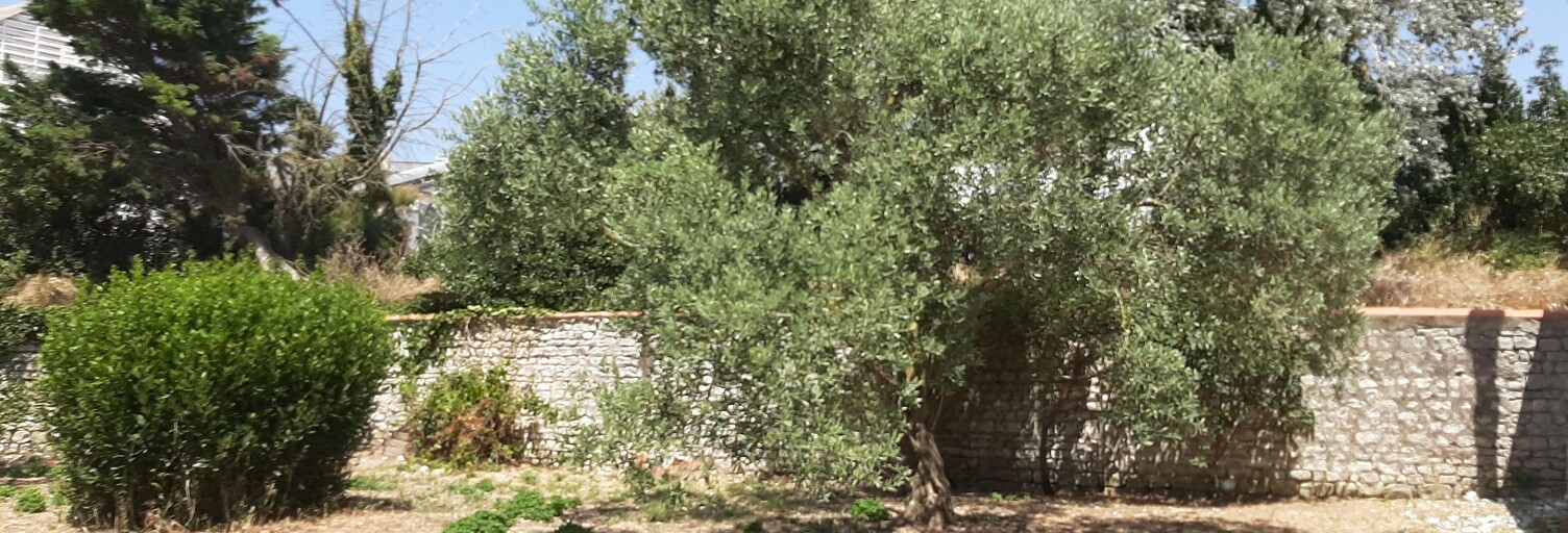 Terrain  334 m² à vendre à La Rochelle (17000)