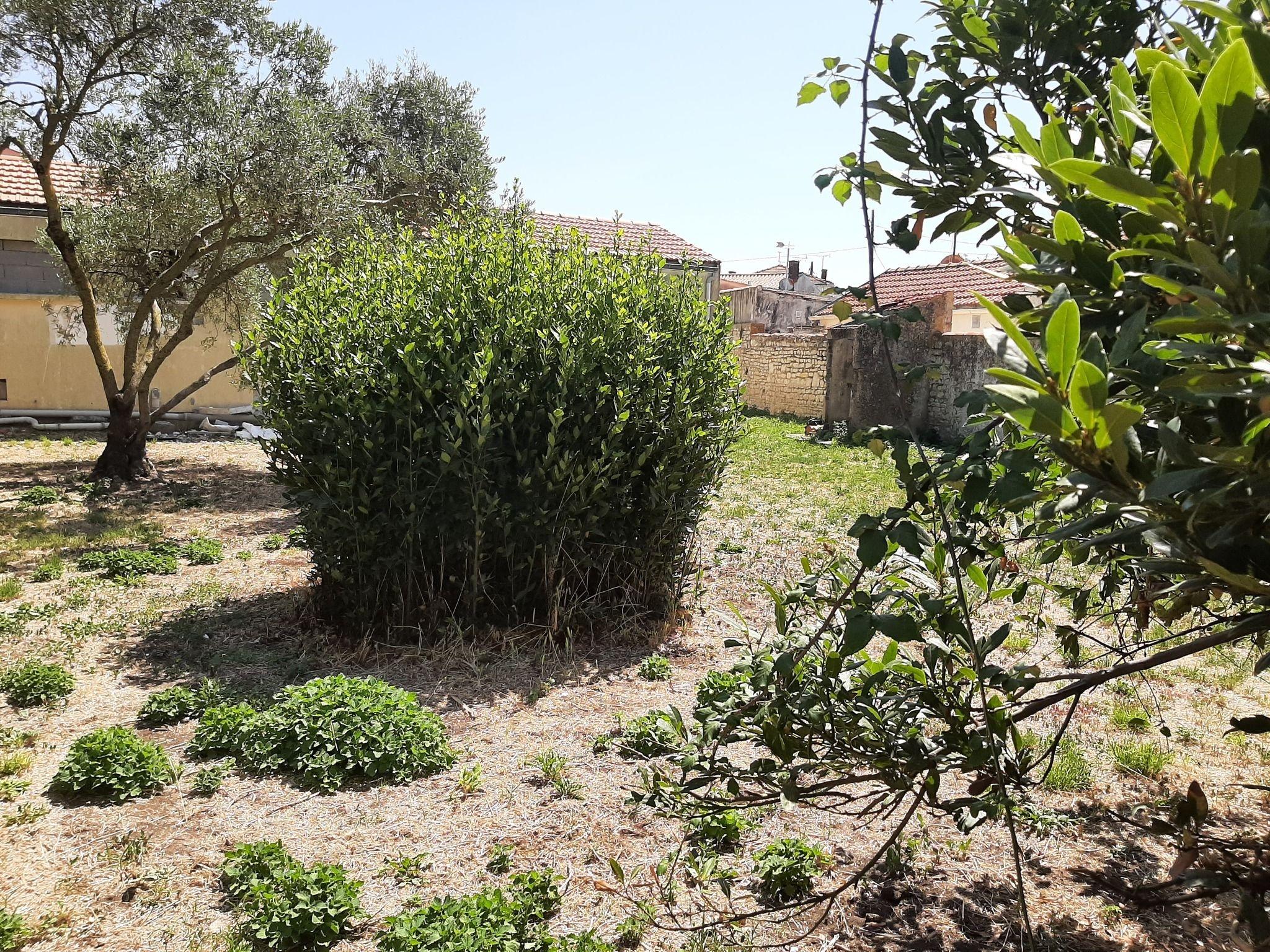 Photo Terrain à bâtir - 334m² - La Rochelle image 2/4