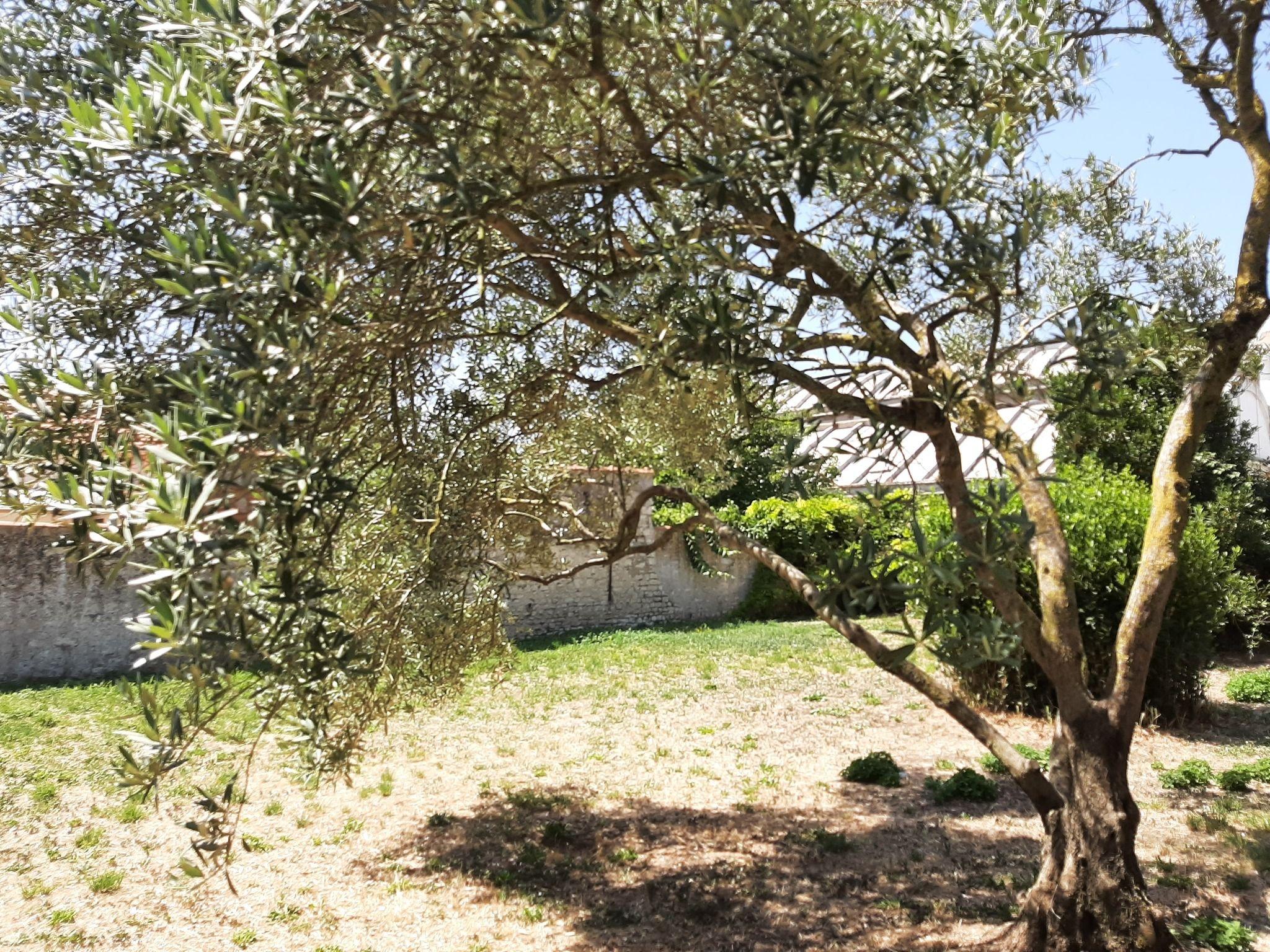 Photo Terrain à bâtir - 334m² - La Rochelle image 3/4