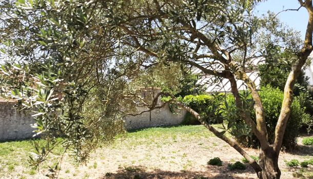 Terrain  à vendre Rochelle (La) 17000