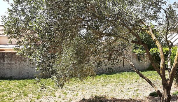 Terrain  à vendre Rochelle (La) 17000