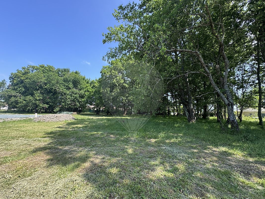 Terrain  à vendre Arvert 17530