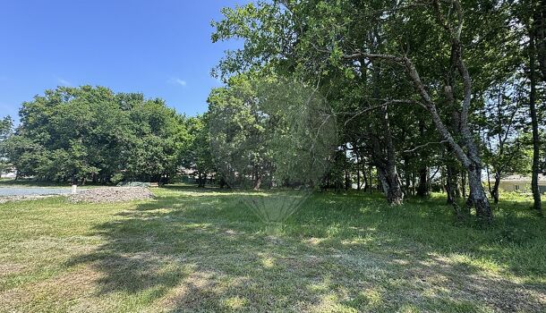 Terrain  à vendre Arvert 17530