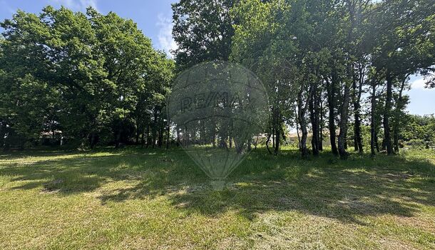 Terrain  à vendre Arvert 17530