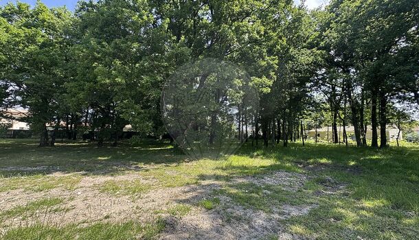 Terrain  à vendre Arvert 17530