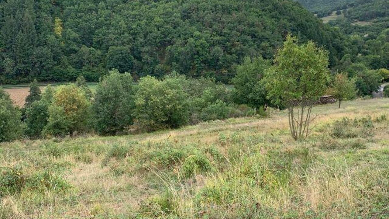 terrain  pièces 599 m2 à vendre à Blesle (43450)