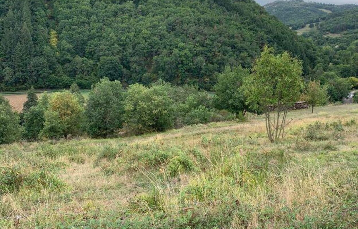 terrain  pièces 599 m2 à vendre à Blesle (43450)