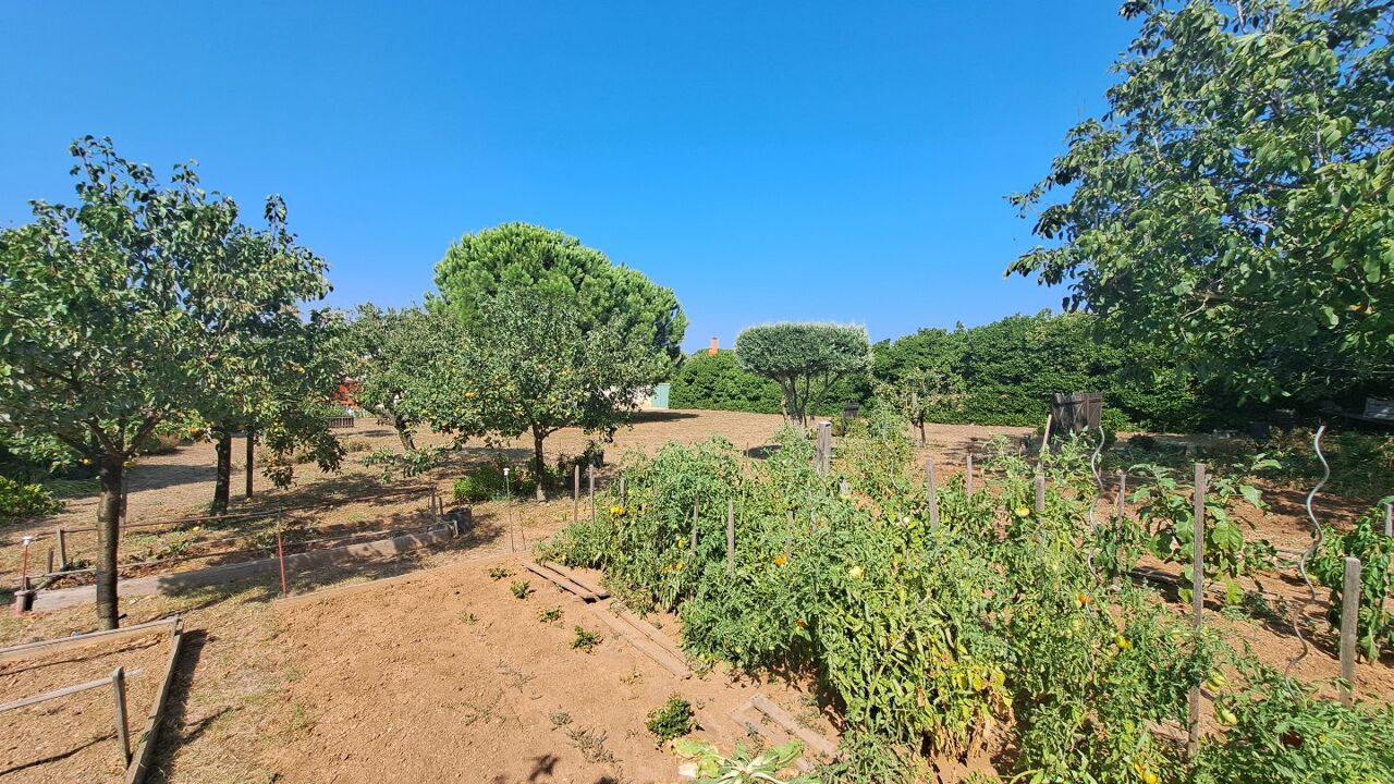 terrain  pièces 1020 m2 à vendre à Marseillan (34340)