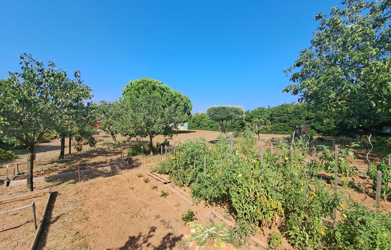 terrain  pièces 1020 m2 à vendre à Marseillan (34340)