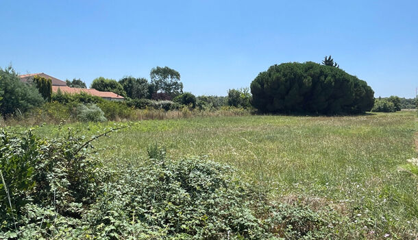 Terrain  à vendre Saint-Pierre-d'Oléron 17310