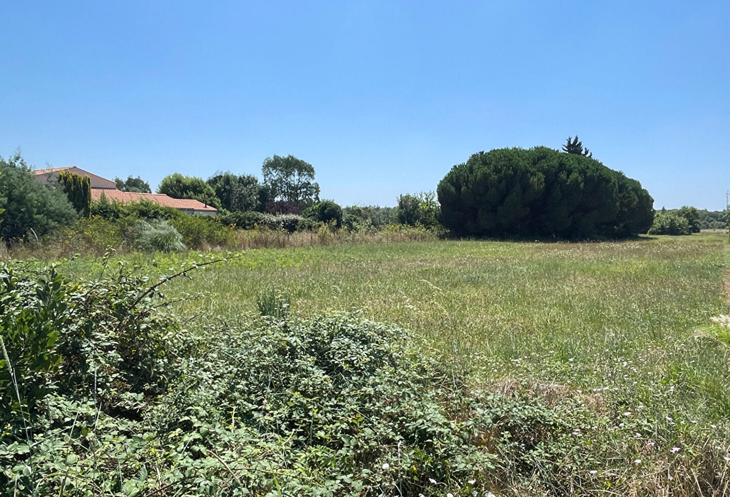 Terrain Saint Pierre d Oleron 2535 m² — photo 1
