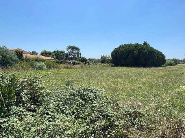 Terrain Saint Pierre d Oleron 2535 m² — photo du bien
