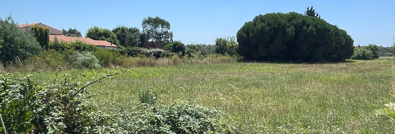 Terrain  2535 m² à vendre à Saint-Pierre-d'Oléron (17310)