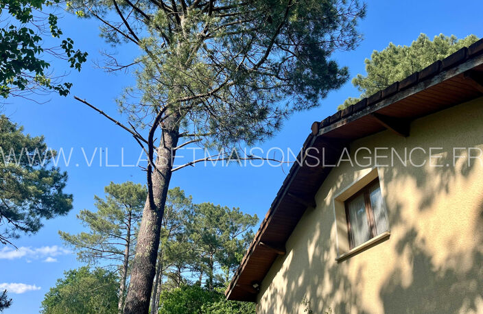 Vaste maison offrant de multiples possibilités à Lanton au calme — photo 4