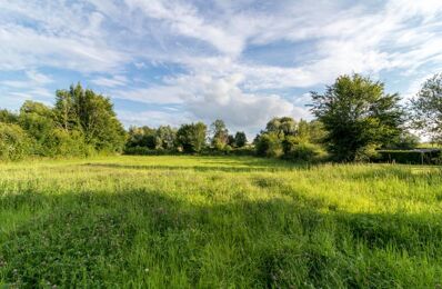 terrain  pièces 2631 m2 à vendre à Feignies (59750)