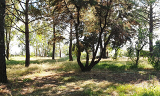 Photo N° 3