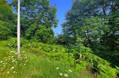 vente terrain 140 000 € à proximité de Cornimont (88310)