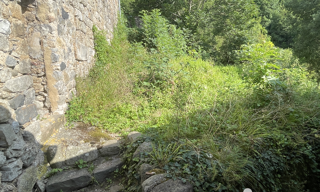Photo N° 6