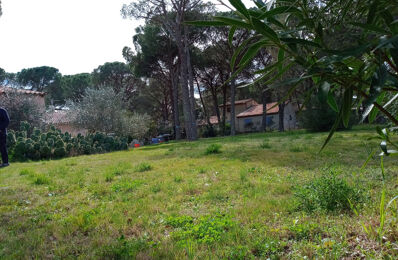 terrain  pièces 774 m2 à vendre à Vidauban (83550)