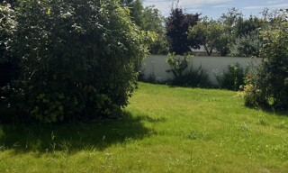 Photo N° 14