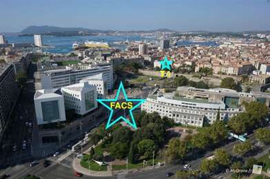 Appartement 1 pièces 460 €